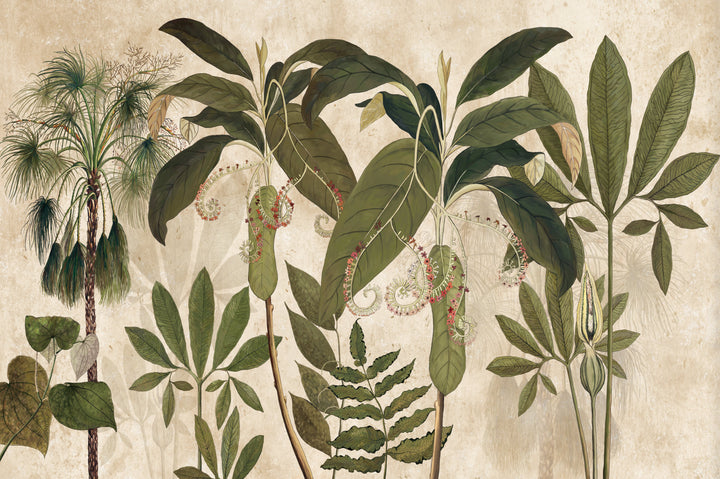 Botanical Wallpaper Design, Vintage Palm Leaf Wall Art, Peel and Stick Wallpaper, Green and Pink Floral Peel and Stick Wallpaper, Living Room Wall Decor, Interior Design Ideas for Living Room