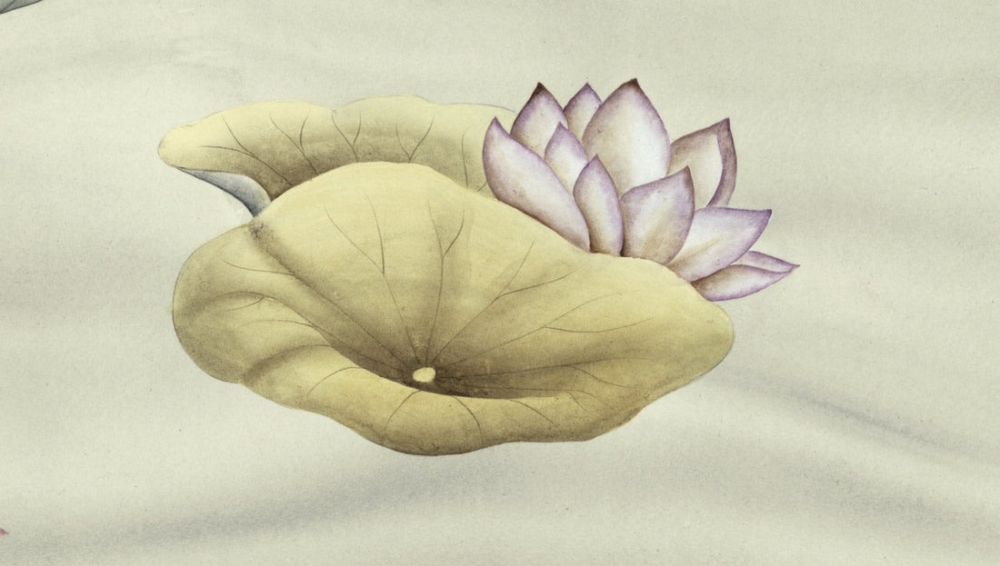 Traditional Lake Scene Wallpaper, Serene Swan & Lotus Design, Chinese Inspired Wall Art, Calming Neutral Tones, Peel and Stick Wallpaper, Living Room Decor Ideas, Bedroom Wall Decor