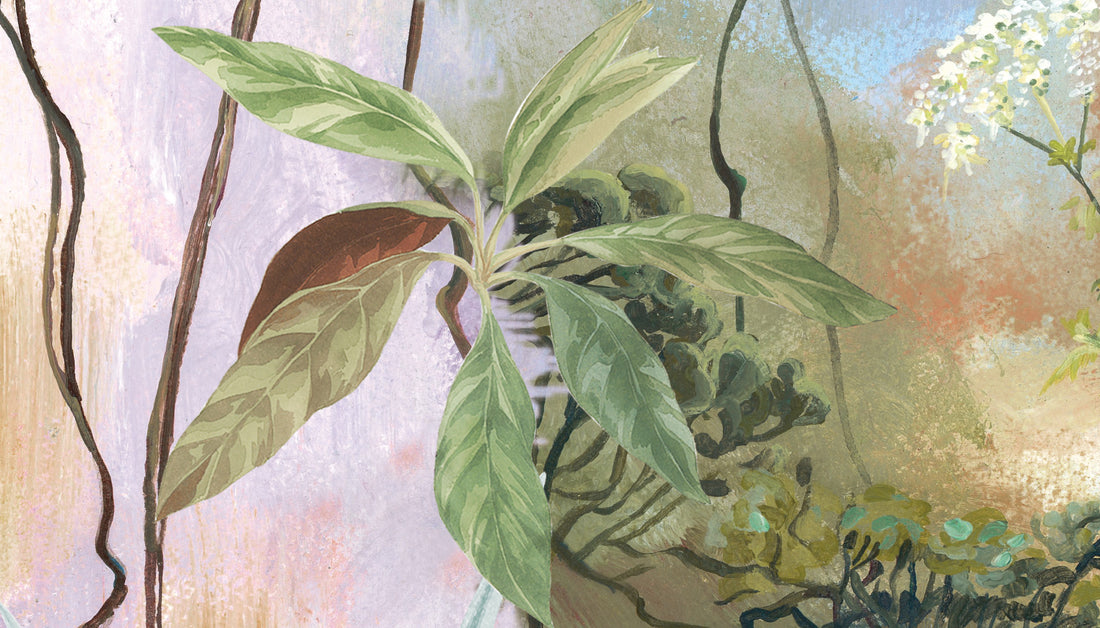 Fantasy Forest Wallpaper, Dreamy Jungle Wall Art, Ethereal Botanical Wall Decor, Pastel Floral Peel and Stick Wallpaper, Serene Nature Mural for Bedroom