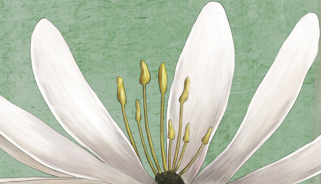 Floral Peel and Stick Wallpaper, White Lily Wall Decor, Botanical Wallpaper for Living Room, Self Adhesive Wallpaper, Green Floral Wallpaper, Nature Inspired Wall Art
