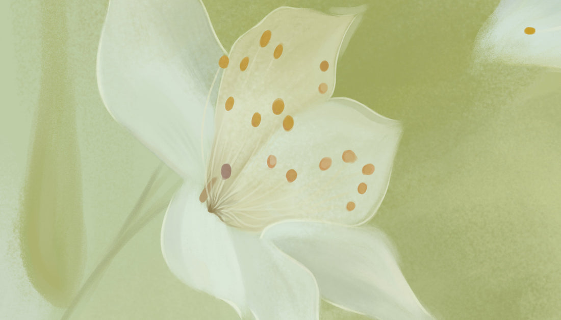 White Floral Peel and Stick Wallpaper, Spring Blossom Self Adhesive Wallpaper, Modern Living Room Decor, Bedroom Wall Decor Ideas, Botanical Wall Art