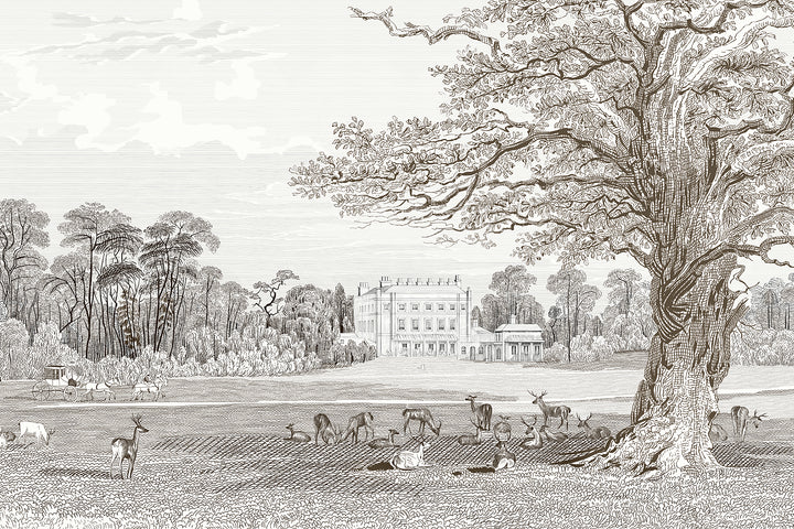 Sketch Landscape Wallpaper, Francy Mural, Dark Wallpaper, Tree Wall Mural, Luxury Mural