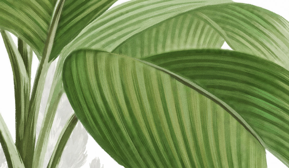 Tropical Jungle Peel And Stick Mural, Botanical Decor, Wild Forest Wallpaper, No-Woven Forest Wallpaper, Green Theme, Trees Wallpaper