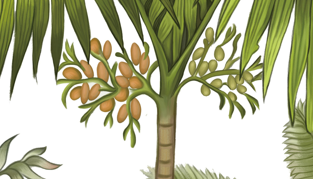 Tropical Rainforest Wallpaper, Peel and Stick Wallpaper for Living Room, Self Adhesive Wallpaper, Nature-Inspired Wall Decor, Modern Living Room Ideas, Large Canvas Wall Art, Affordable Home Decor