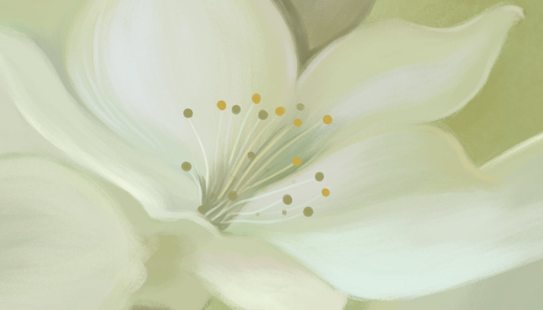 White Floral Peel and Stick Wallpaper, Spring Blossom Self Adhesive Wallpaper, Modern Living Room Decor, Bedroom Wall Decor Ideas, Botanical Wall Art