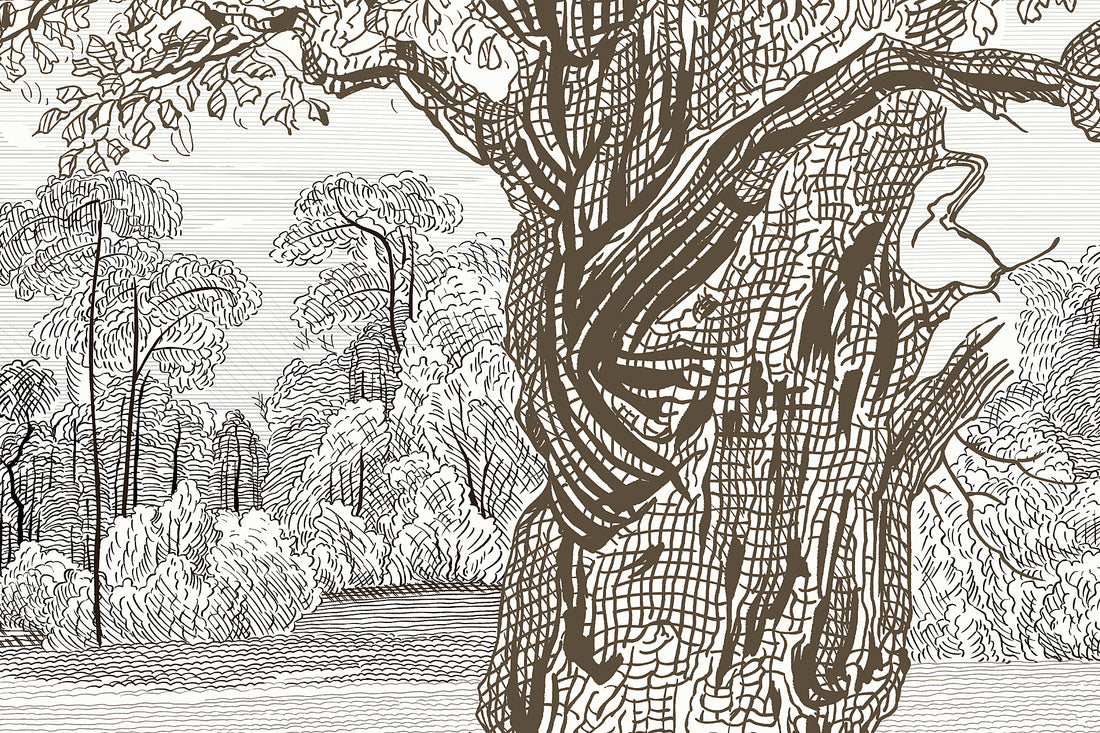 Sketch Landscape Wallpaper, Francy Mural, Dark Wallpaper, Tree Wall Mural, Luxury Mural