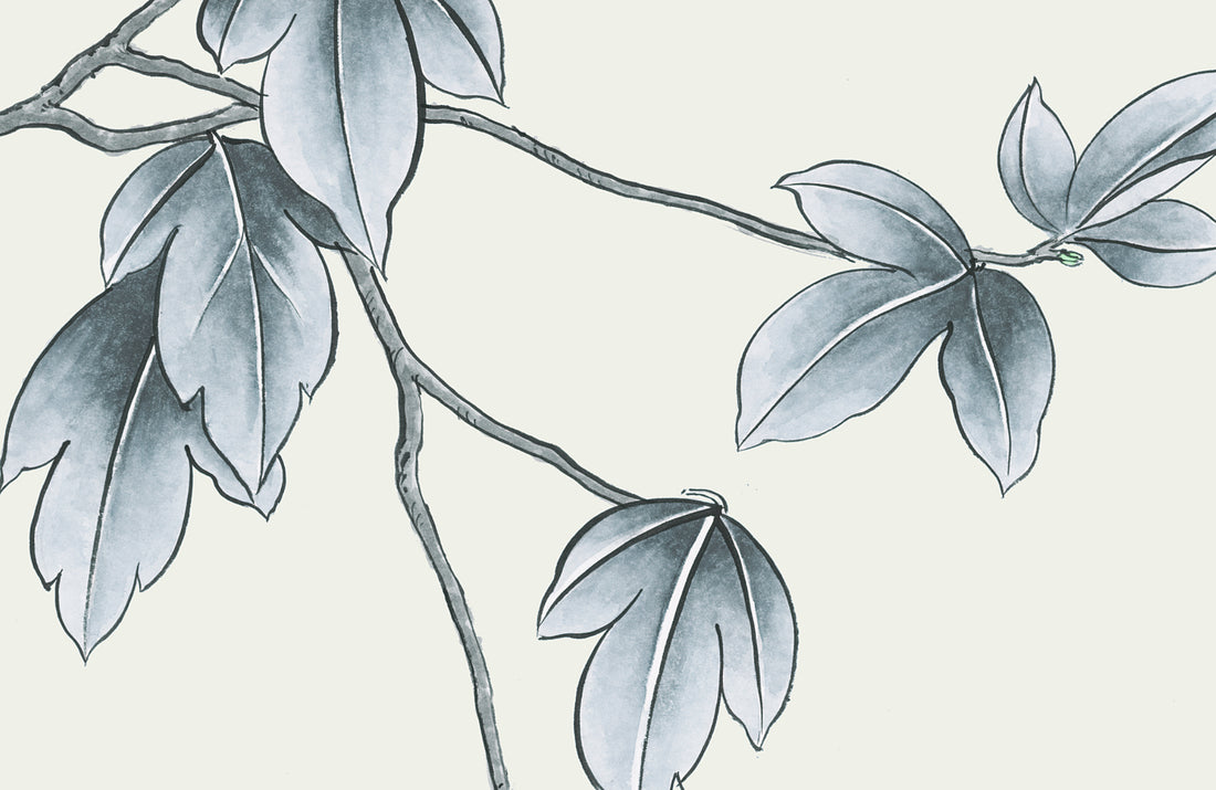 Pink Peony Floral Wallpaper, Elegant Botanical Wall Decor, Grey and Pink Peel and Stick Wallpaper, Living Room Wallpaper Ideas, Bedroom Wall Decor, Modern Farmhouse Decor, Self Adhesive Wallpaper